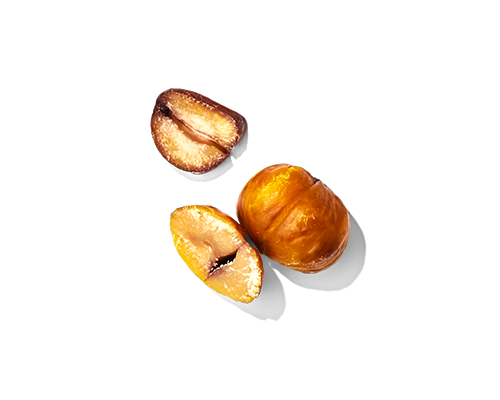Chestnut Extract
