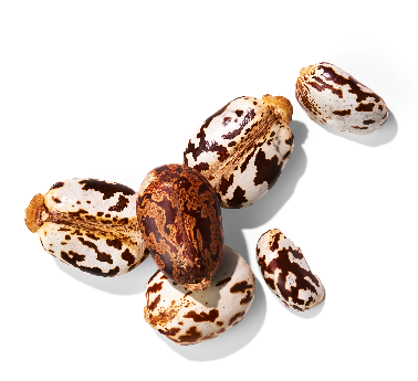 Hydrogenated Castor Oil/Sebacic Acid Copolymer