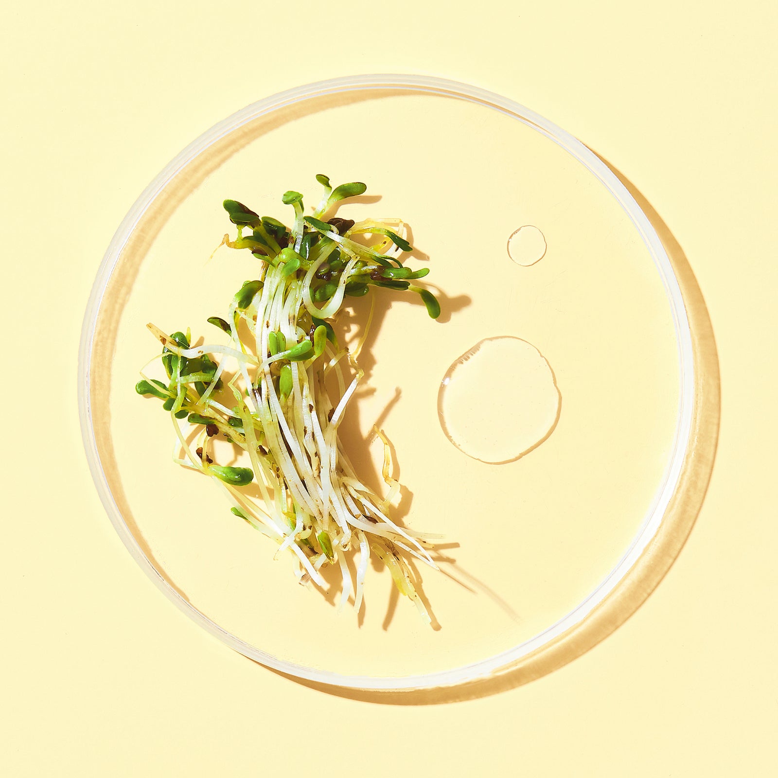 Strengthen #HairGoal Booster