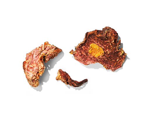 Golden Root Extract – Function of Beauty