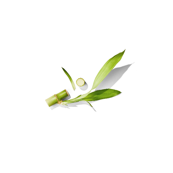 Japanese Bamboo Extract