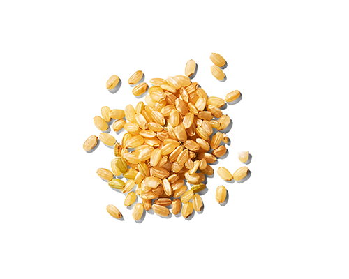 Rice Bran Oil