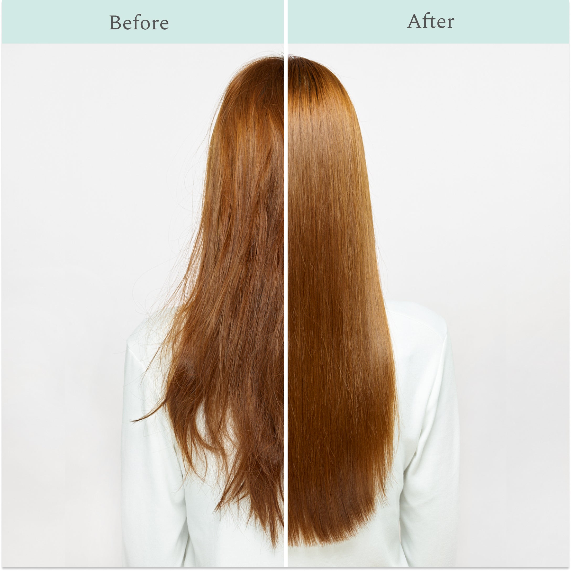 Custom Shampoo Custom Shampoo – Function of Beauty