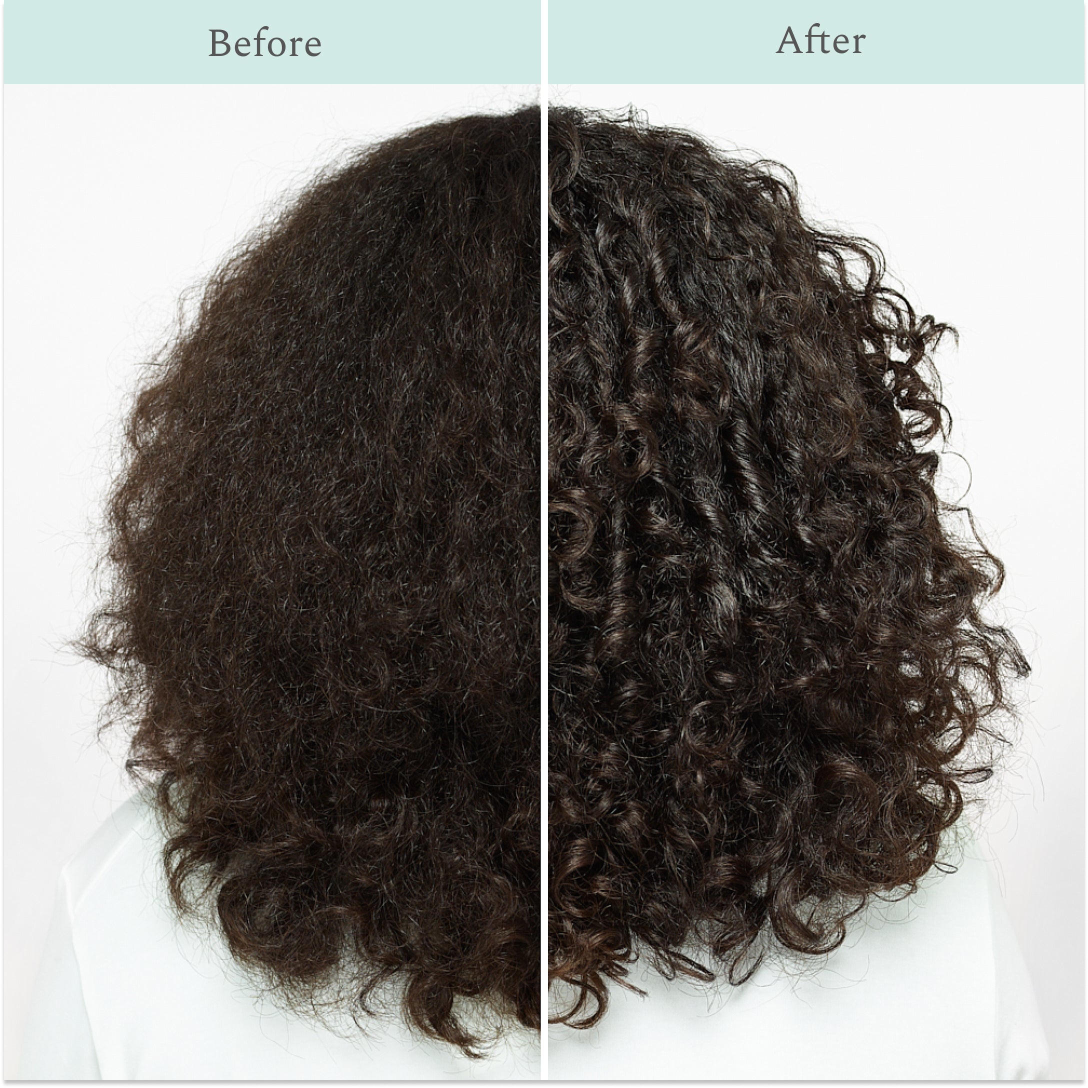 Custom Shampoo Custom Shampoo – Function of Beauty