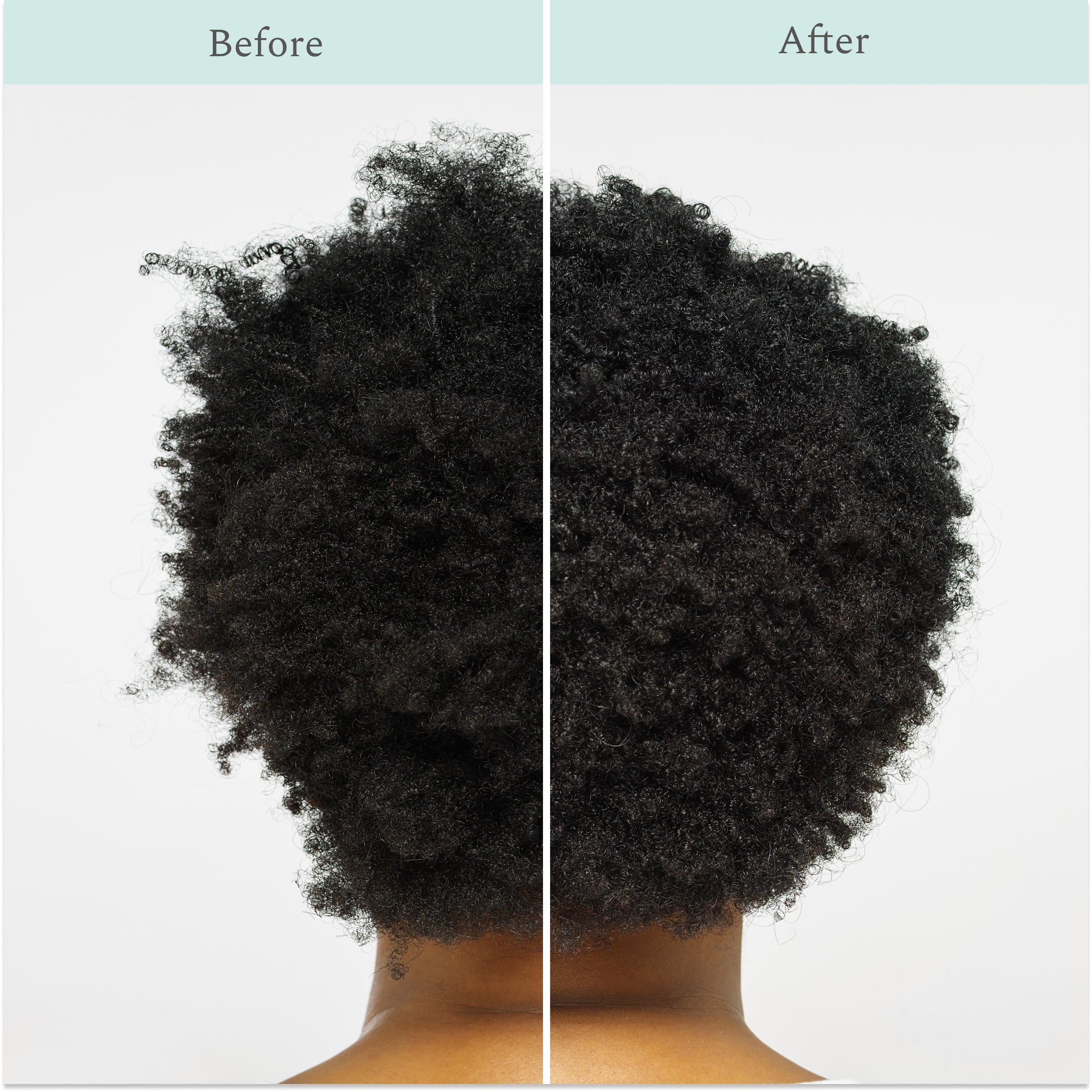 Custom Shampoo Custom Shampoo – Function of Beauty